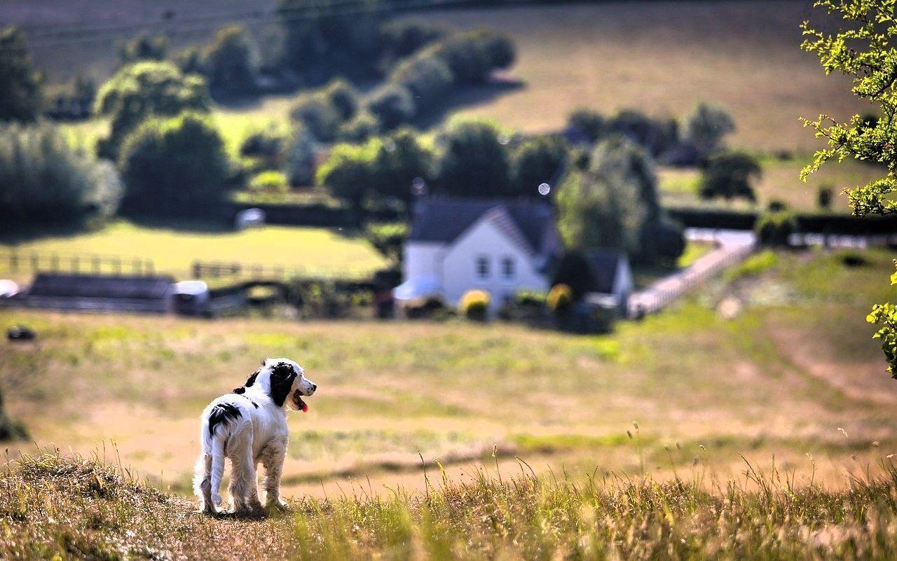 Kilenc éve nem történt ilyen a lakáspiacon: enyhén, de csökkentek az árak
