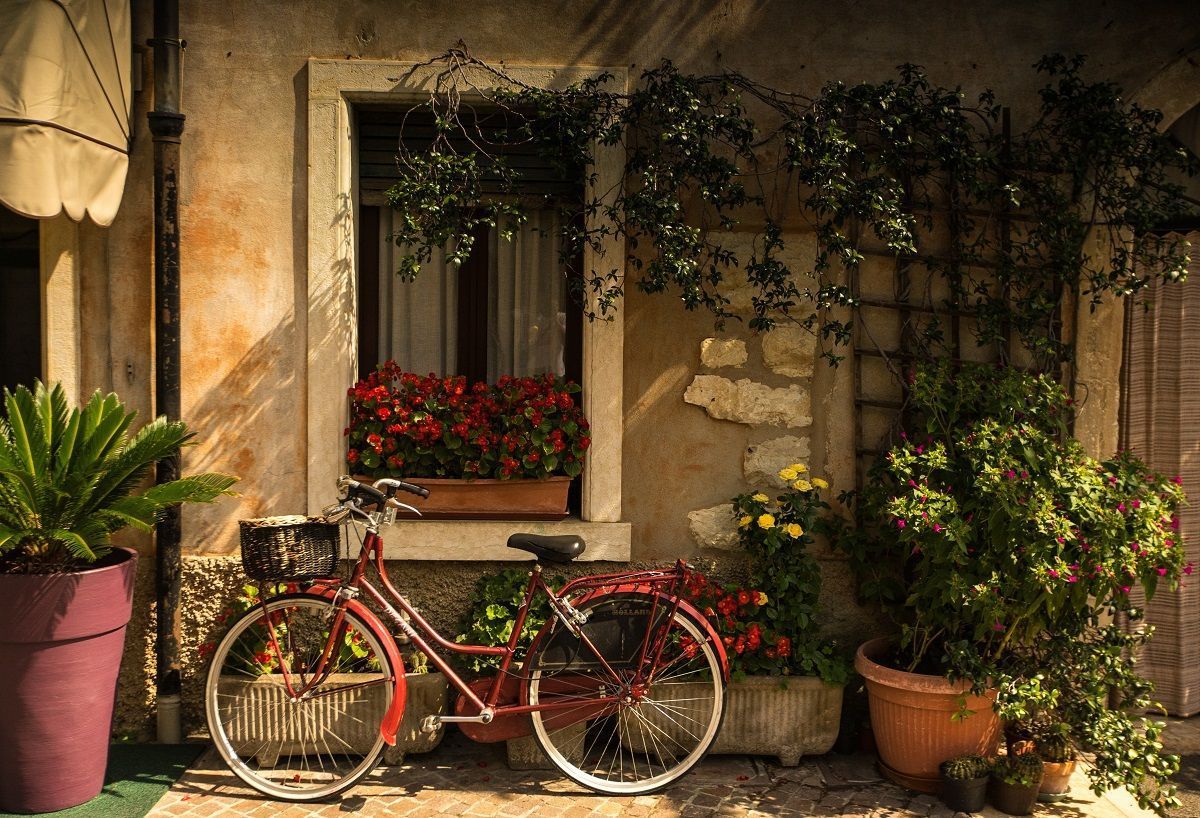 Takaros lakás bejárata biciklivel és növényekkel